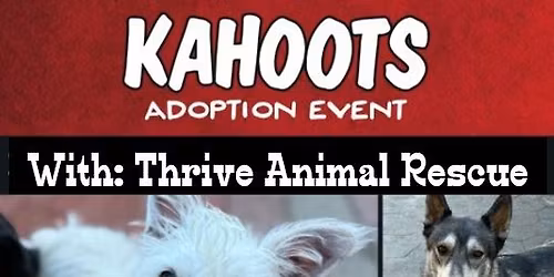 Thrive Animal Rescue Adoption Event at KAHOOTS 4S Ranch