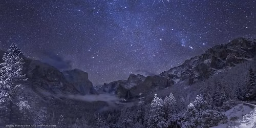 The Christmas Star