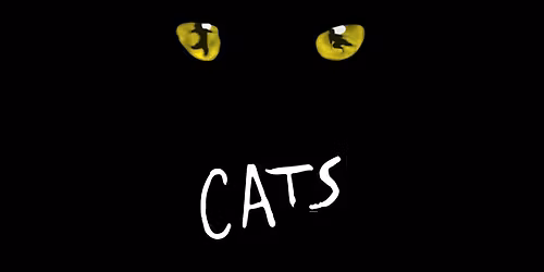 CATS \/\/ Lugano 25 \u2192 30.11