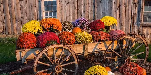 UPLANDS FALL FRENZY CRAFT & TRADESHOW 
