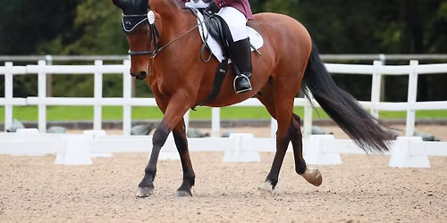 BRC Area 6 \u2013 DTM Qualifiers \u2013 31 January 2025