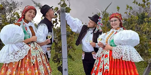 Slovácké hody s věncem a káčery Těmice 2025🍇🍷