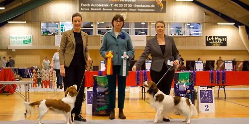 Dobbeltudstilling i G\u00f8rlev - OBS! Rykket fra s\u00f8ndag til l\u00f8rdag