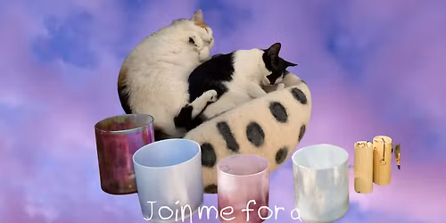 Beautiful Dreamer Nap-In: A Sacred Rest Circle (In-Person at Petrichor Collective))