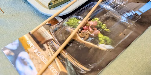 Open Terrariums Workshop