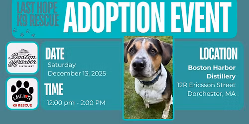 Boston Harbor Distillery hosts the LHK9 Adoption Event!