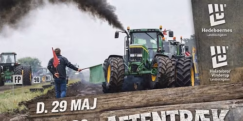 Aftentr\u00e6k i Holstebro 