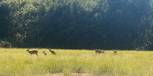 Saturday Group Hikes & Trail Runs at Rancho San Antonio, Santa Clara County