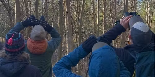 Saturday Morning Bird Walks