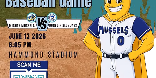 Ground Up Ministries Spirit Night at the Ballpark! 