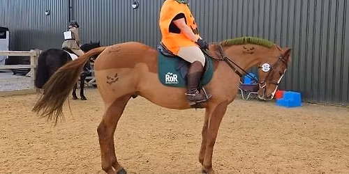 Halloween Dressage