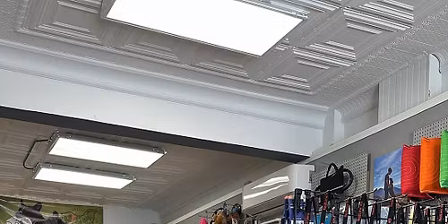 Halloween Weekend at NEO Pet & Working Dog