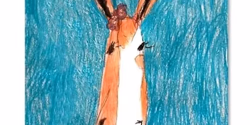 Drawing Animal Portraits
