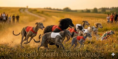 Gold Rabbit Trophy 2026 - coursing