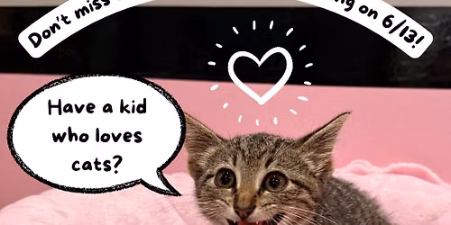 Kitty Cat Club