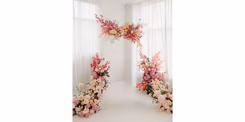 Traverse City Spring Mini Photo Sessions