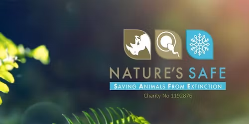 May Club Night- Tullis Matson : Nature Safe