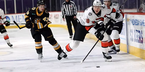 Providence Bruins vs. Charlotte Checkers