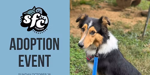 10\/26 Adoption Event at Petco Harrison Crossing