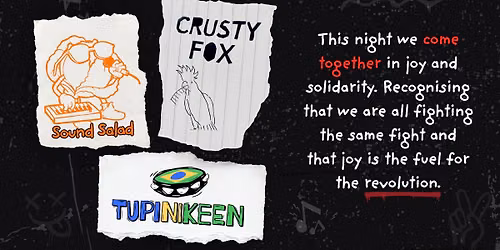 Joyful Revolution - Intersectional Fundraising Gig