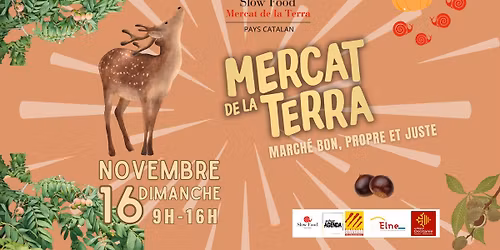 Mercat de la Terra de l'automne
