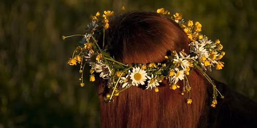 Midsummer Celebration