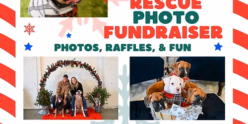 Hoilday photo fundraiser