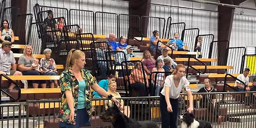 Carbon County Fair 4-H Dog Show