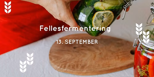 \u00d8KOUKA: Fellesfermentering