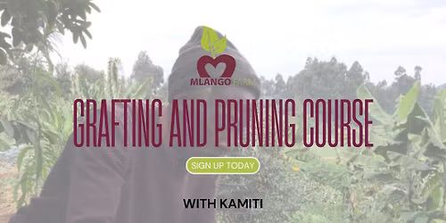 Grafting and Pruning