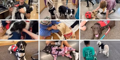 Canines Who Care Community Giveback Night at Chick Fil A Buda