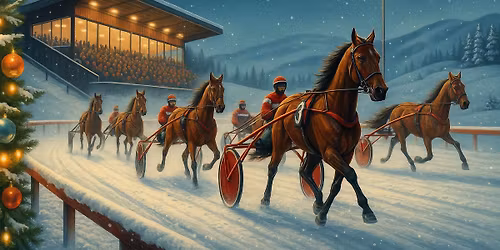 Desembertrav med V65