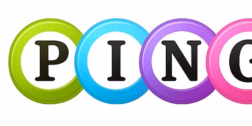 PINGO 