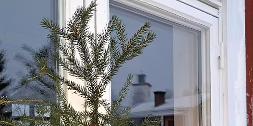 Stämningsfull julmarknad 2025