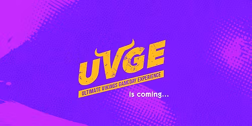 The Ultimate Vikings Game Day Experience