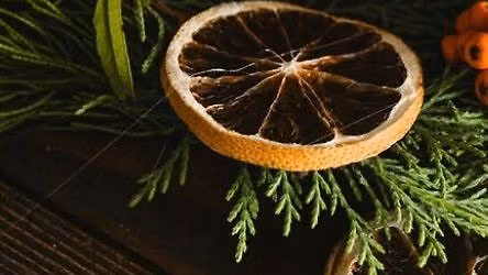 Winter Solstice Holiday Market