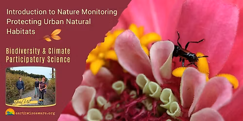 Introduction to Nature Monitoring in the City