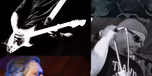 Lounge Dogs Trio Live at Hanging Rock Tavern 