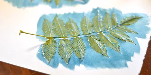 Gahagan Nature Camp - Nature Artists