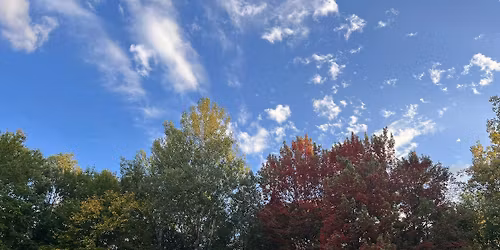 Rottweiler Klub of Michigan Sieger Show