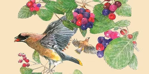 January Birdy Book Club