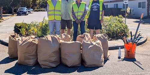 Traffic Circle Gardening Party (and Community Clean Up!) 