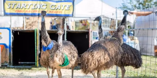 EMU RACES FUNDRAISER
