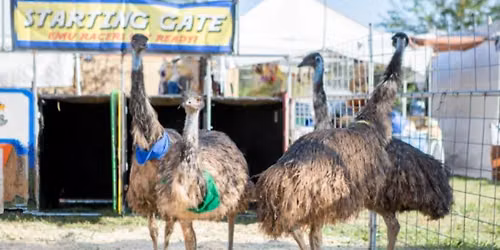 EMU RACES FUNDRAISER