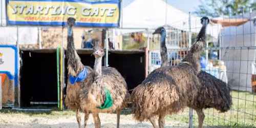 EMU RACES FUNDRAISER