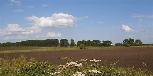 LUNZ Hub Lowland England Big Tent