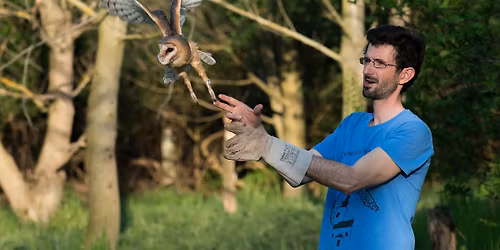 Varstvo pegaste sove v spreminjajo\u010di se krajini