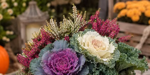 Centerpieces & S\u2019mores 