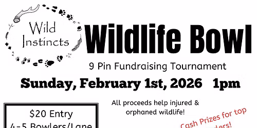 Wildlife Bowl