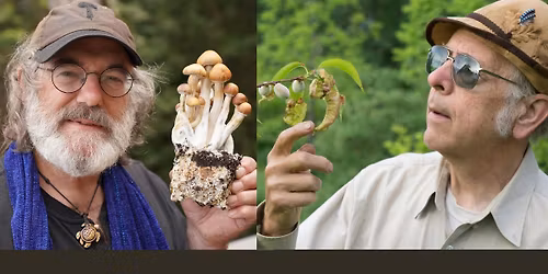Mushrooms for Planetary Consciousness: An Evening with Paul Stamets & Dr. Michael Beug